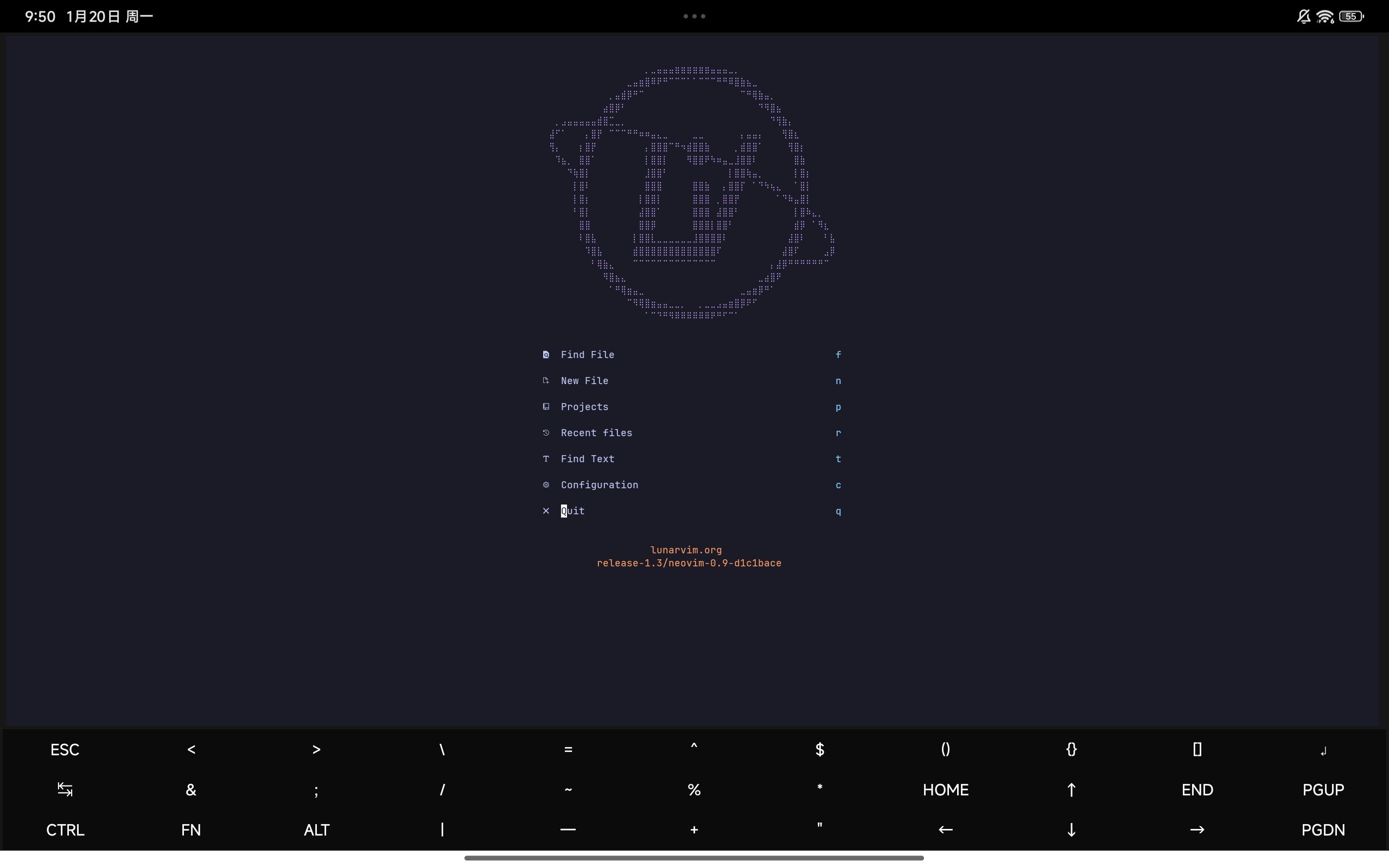 LunarVim