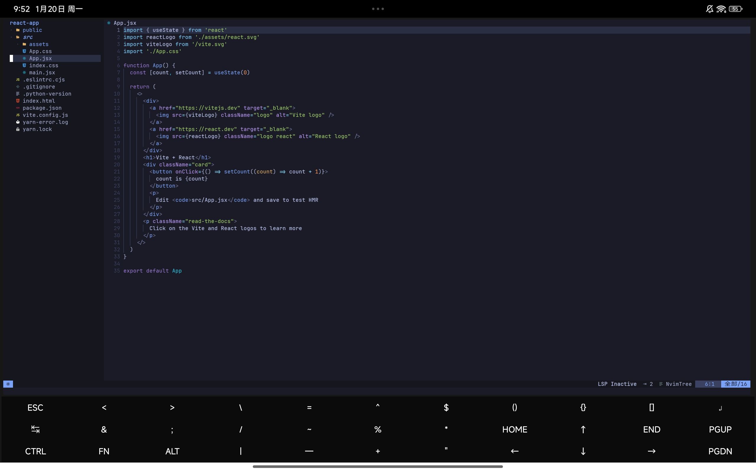 LunarVim React.js 开发